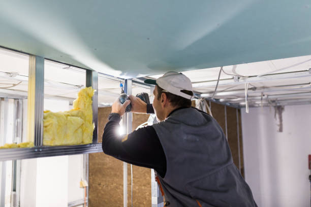 Best Insulation Installation Services in Vaeboro, NC