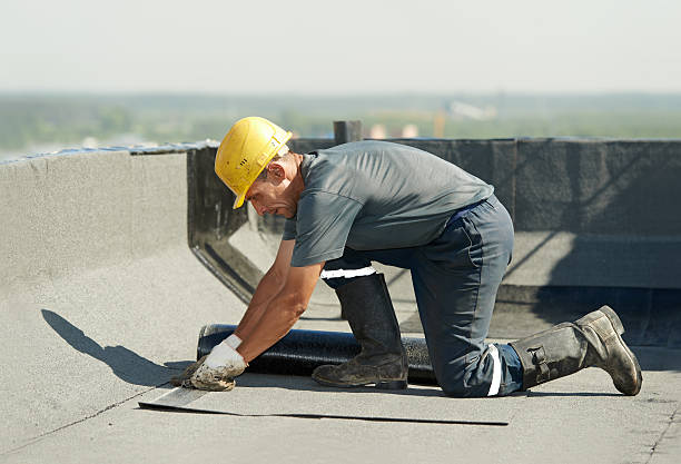 Best Specialty Insulation in Vaeboro, NC