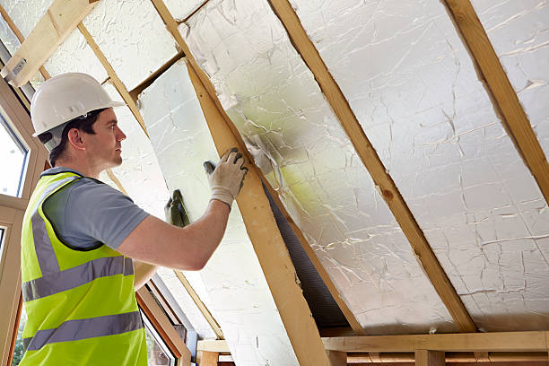 Best Insulation Maintenance and Repair in Vaeboro, NC
